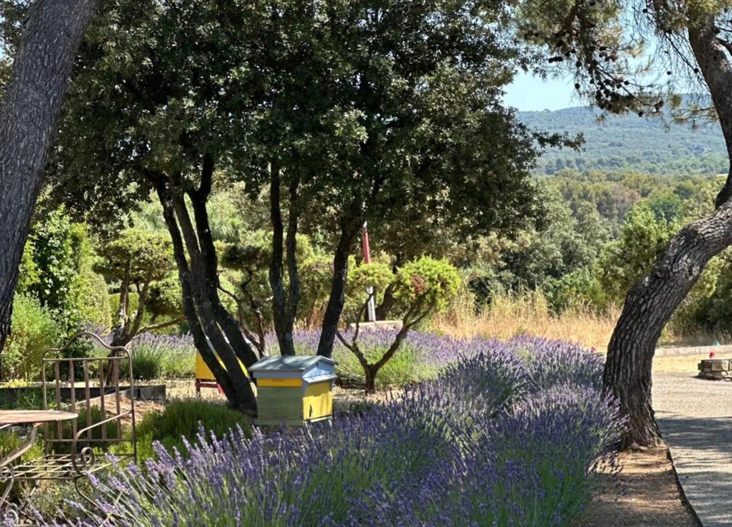 ***** Hotell Le Phebus & Spa - Relais & Chateaux Joucas Frankrike